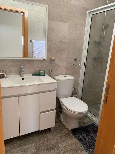a bathroom with a toilet and a sink and a shower at Apartamentos Modernos Santo Antão in Ribeira Grande