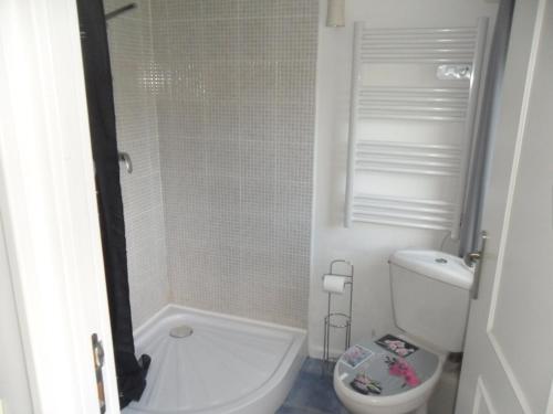 une petite salle de bain avec toilettes et douche dans l'établissement Le clos des tracteurs d'antan, à Fontaine-sous-Montdidier