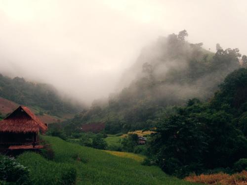 a misty mountain with a house in a field at KowitFarmstay in Ban Mae Pan Noi