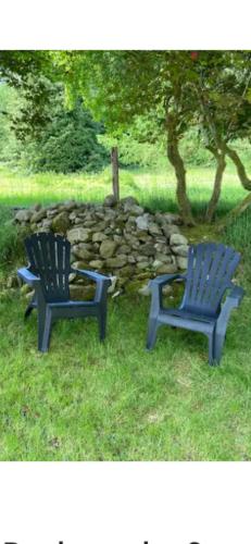two blue chairs sitting in the grass next to a rock wall at Willow Lodge in Dublin