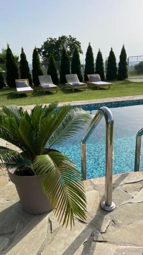 a plant in a pot next to a swimming pool at Slatinska idila - kuća sa bazenom in Bunar