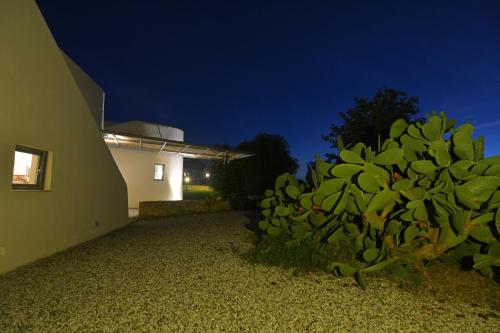 a green plant in front of a building at night at Villa Vendicari in Casa Maccari