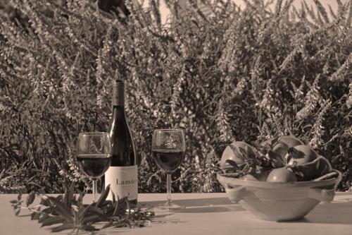 two glasses of wine and a bowl of fruit on a table at Villa Vendicari in Casa Maccari