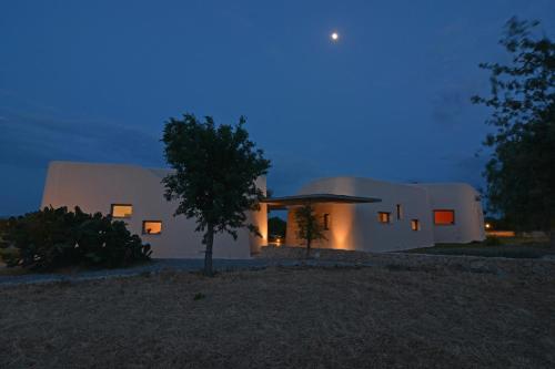 a building with a tree in front of it at night at Villa Vendicari in Casa Maccari