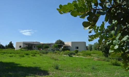 a field with a building in the background at Villa Vendicari in Casa Maccari