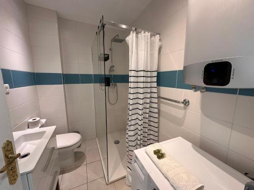 une salle de bain avec une douche, des toilettes et un lavabo dans l'établissement One bedroom apartment in Cannes with a balcony and great sea views - 821, à Cannes