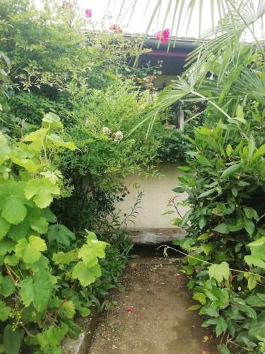 a garden with a bunch of plants and flowers at Maison individuelle in Ossun