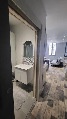 La salle de bains est pourvue d'un miroir et d'un lavabo. dans l'établissement Studio coeur de ville historique, à Tonnerre