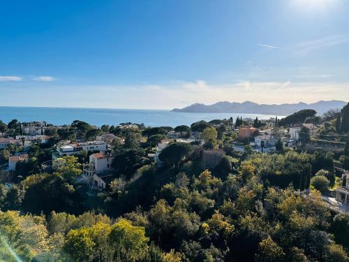 Large, light and modern 2 bedroomed apartment in Cannes with Sea Views, pool and lovely terrace - 1503