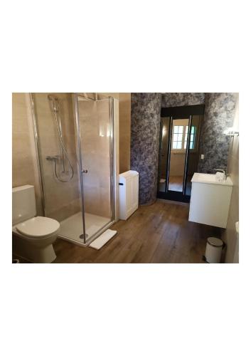 a bathroom with a shower and a toilet and a sink at Le Bargeot à Baar in Nendaz