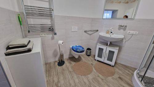 a bathroom with a sink and a toilet and a mirror at kleine Fewo Peter in Bärenstein in Bärenstein