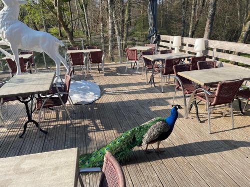 Gallery image of Domaine du Grand Etang in Nouan-le-Fuzelier