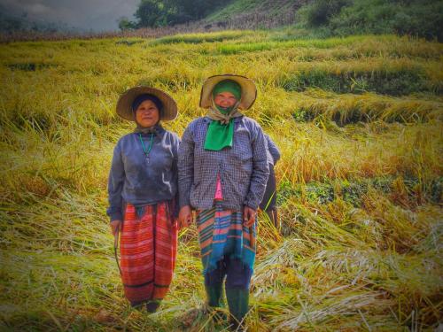 two women standing in a field of hay at KowitFarmstay in Ban Mae Pan Noi