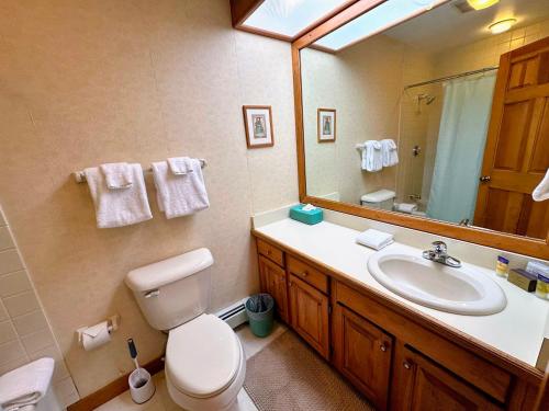 a bathroom with a sink and a toilet and a mirror at Bretton Woods home steps from the slopes, AC, pool passes, discounted cog tix! in Bretton Woods
