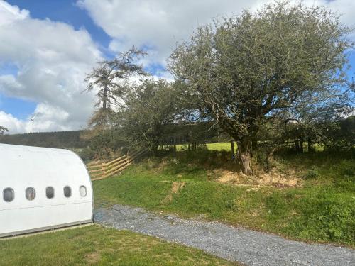 a white trailer parked next to a tree at Sky High Glamping in Shillelagh