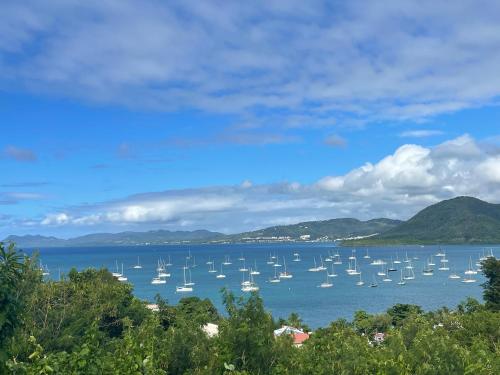 a large body of water with boats in it at TIANOLI lodge grand confort avec vue magnifique in Sainte-Anne