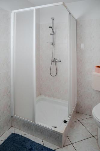 a shower stall in a bathroom with a toilet at Edi Birtok in Oroszló