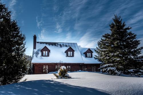 a house covered in snow with a christmas tree at Royal Laurentien in Mont-Blanc