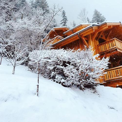 Chalet Renard Fou -Luxury 2 Bedroom Apartment