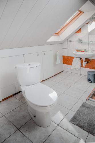 a bathroom with a white toilet and a sink at Edi Birtok in Oroszló