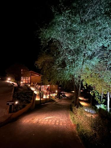 a park at night with a tree and a playground at Pousada A Rosa e o Rei in São Francisco Xavier