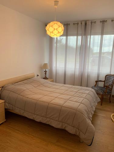 une chambre avec un grand lit et un lustre dans l'établissement Appartement - bord de mer - Le Touquet - WIFI, à Le Touquet-Paris-Plage
