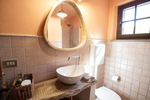 a bathroom with a sink and a mirror at Podere la Botte in Lari