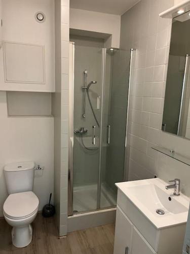 une salle de bain avec une douche, des toilettes et un lavabo dans l'établissement Gold, 500 m du centre de Valence, à Bourg-lès-Valence