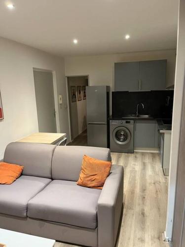 un salon avec un canapé et une cuisine dans l'établissement Gold, 500 m du centre de Valence, à Bourg-lès-Valence