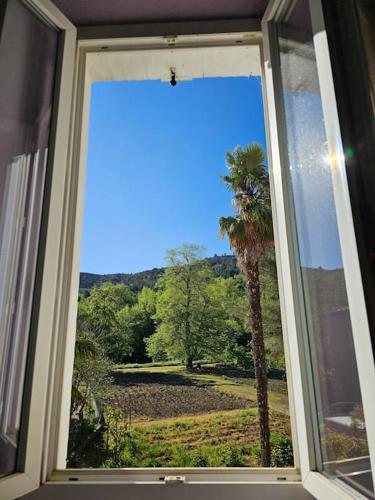 une fenêtre avec vue sur un palmier dans l'établissement Agréable maison au bord de la rivière, à Campagne-sur-Aude
