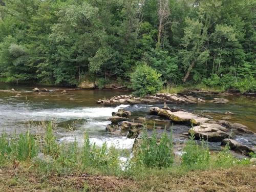 une rivière avec des rochers dans l'eau et des arbres dans l'établissement Agréable maison au bord de la rivière, à Campagne-sur-Aude
