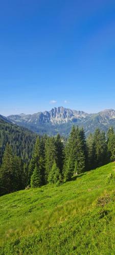 a green field with trees and mountains in the background at Gemütliches Ferienhaus mit Holzofen und Sauna in Hohentauern