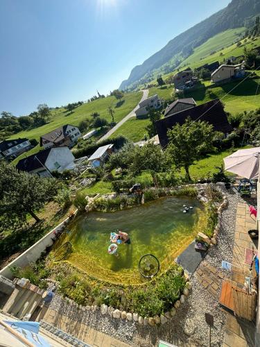 an aerial view of a pool with a person in the water at Chez Svanette B&B Villa Sonnglück in Zullwil