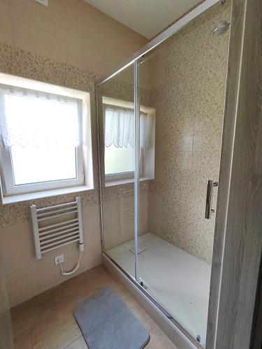 a bathroom with a glass shower with a window at Apartmány U Obory in Nechánice
