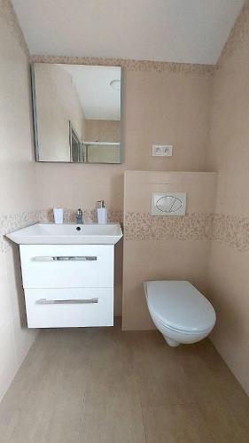 a bathroom with a toilet and a sink and a mirror at Apartmány U Obory in Nechánice