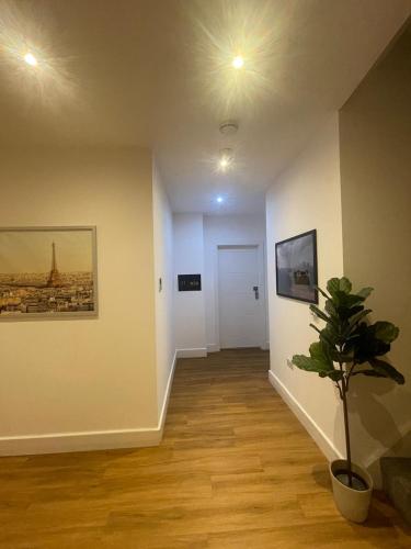 an empty room with a hallway with a potted plant at London City Hotel in Woolwich