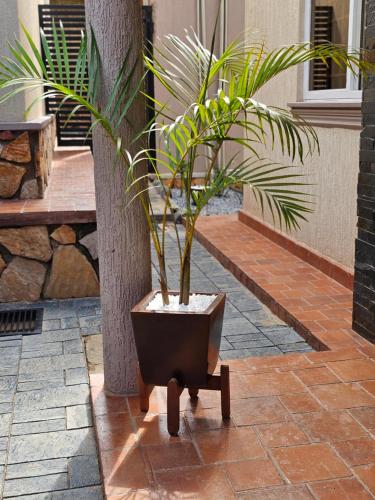 a plant in a pot sitting on a table at Alsander Homes Tamarillo in Kampala