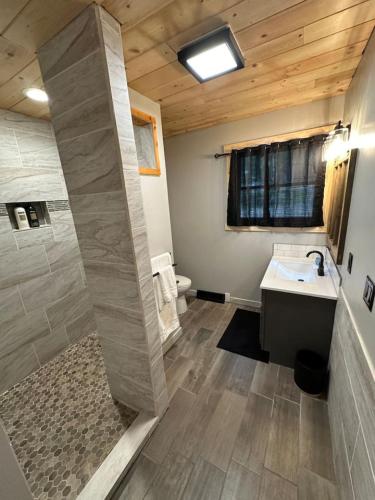 a bathroom with a shower and a sink and a toilet at Pleasant Lake Bed and Breakfast in Osceola