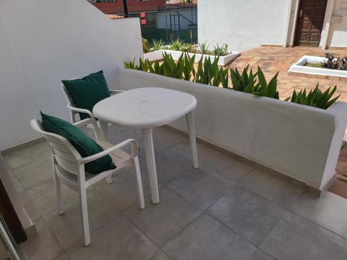 Las Floritas 5 - Plumeria