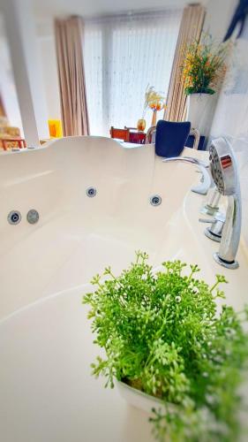 a bathroom sink with a potted plant on it at Hotel Betania in Jaén