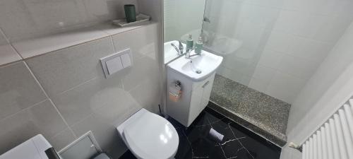 a small bathroom with a toilet and a sink at La Bloc Apartment in Arad