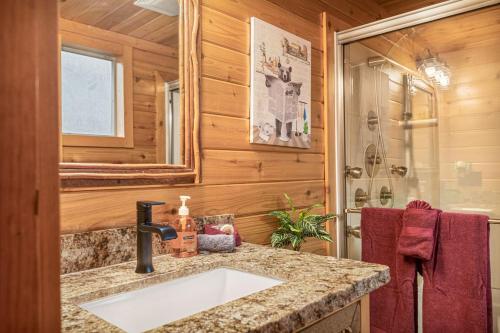 a bathroom with a sink and a shower at The Lions Den in Big Bear City