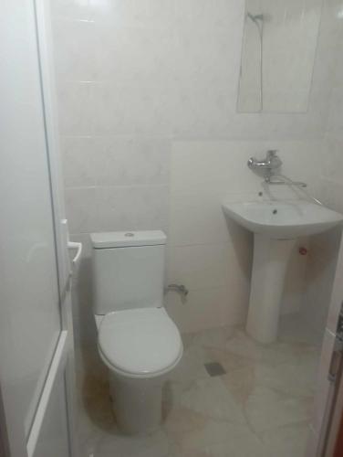 a white bathroom with a toilet and a sink at Art House Hostel Aleksandr in Kutaisi