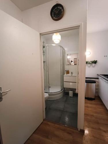 une salle de bain avec douche et toilettes dans l'établissement Studio calme et lumineux près de la gare, à Toulouse