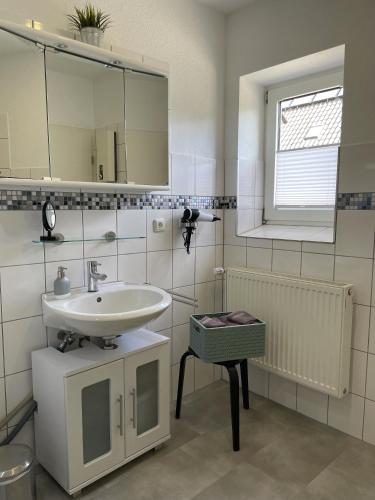 a bathroom with a sink and a mirror at Elbhof Wendhausen in Wendhausen