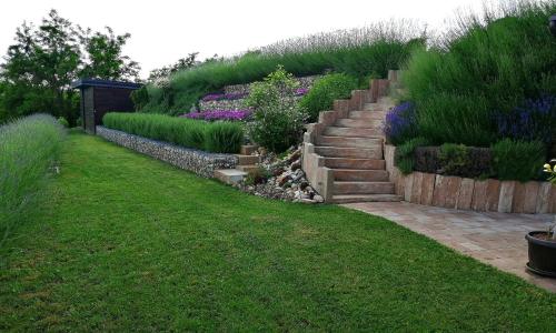 Taman di luar HillTop House