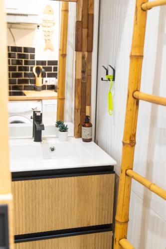 une salle de bain avec un lavabo et un miroir dans l'établissement Cosy studio bord de mer, à Canet