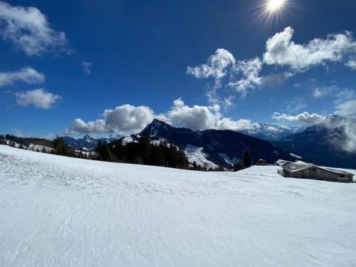 a snow covered slope with the sun in the sky at Berggasthaus Rigi-Burggeist in Gersau