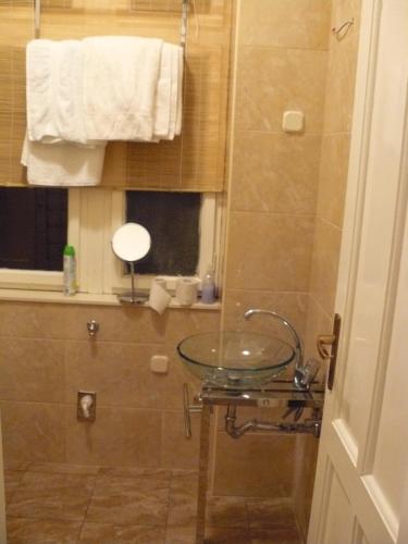 uma casa de banho com um lavatório de vidro e um chuveiro em Apartment Astra em Rijeka