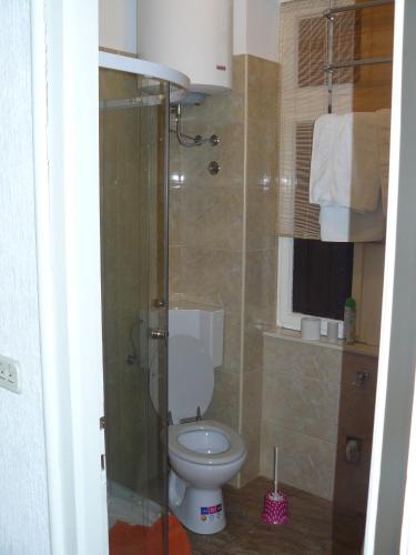 a bathroom with a toilet and a shower at Apartment Astra in Rijeka